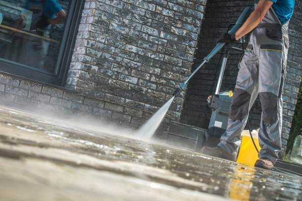 Best Animal Enclosure Cleaning  in Merritt Island, FL